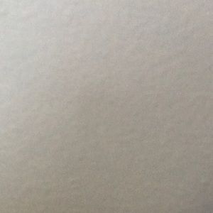 Meet your Posher, Carmen